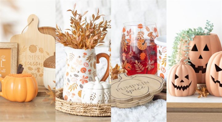 BlogMainImage_SeasonalSpotlights_2024 (848x466).jpg